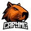 capymc.pl - logo