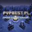 pvpbest.pl - logo