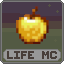 lifemc.icsv.pl - logo