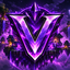 vexora.openchunk.eu - logo