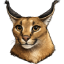 floppa-mc.pl - logo