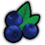 berrycraft.pl - logo
