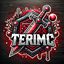 mc.terimc.pl - logo
