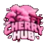 cherryhub.pl - logo